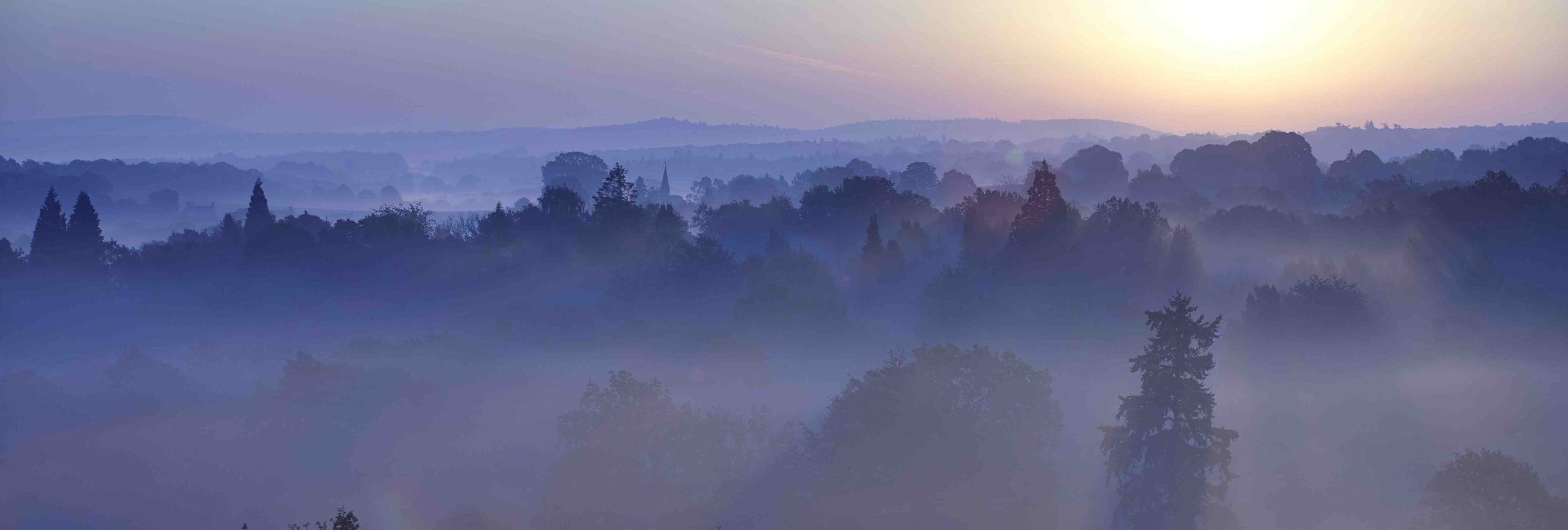 Surrey Hills Sunrise Surrey Hills countryside at sunrise