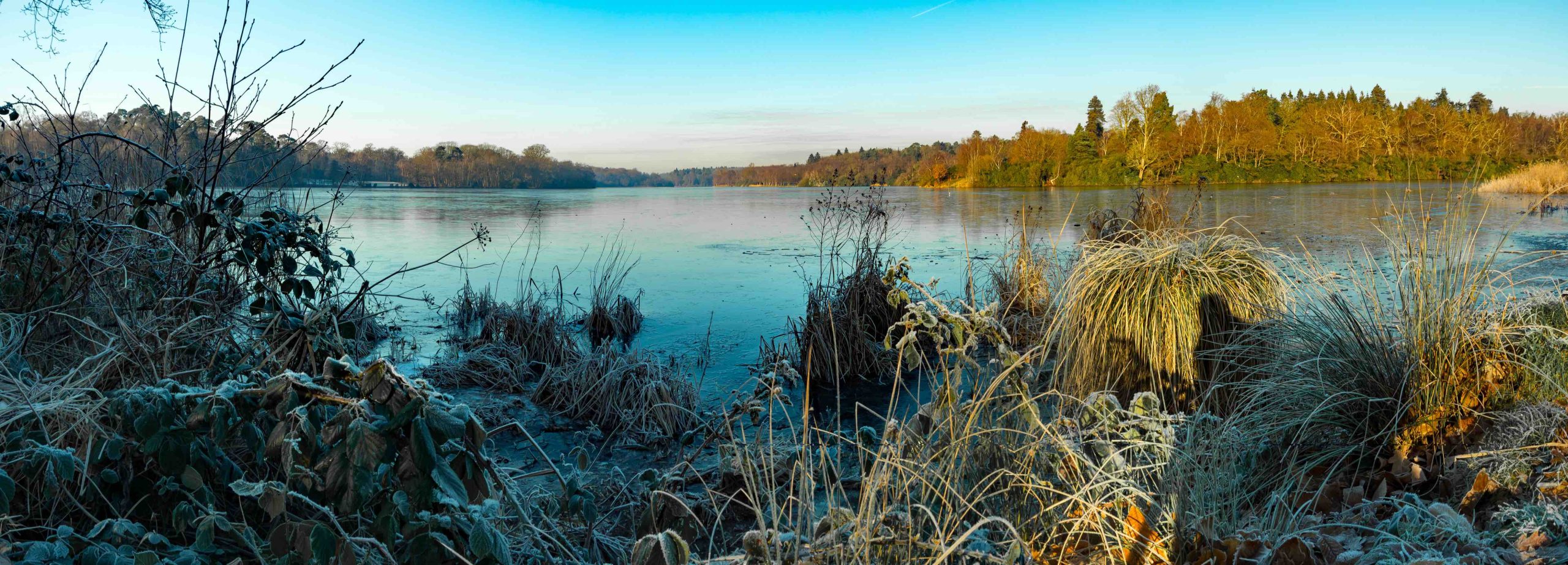 Frozen Virginia Water lake A frozen lake nr Wentworth. One of the the best Places to Live in Surrey